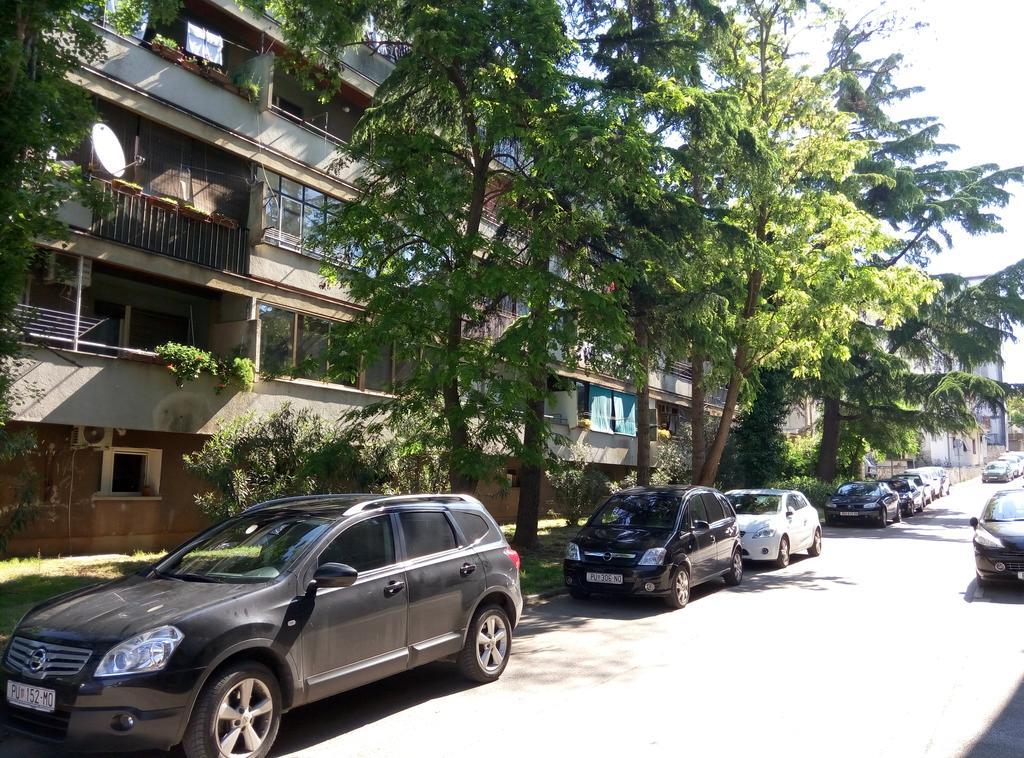 M & M Apartment